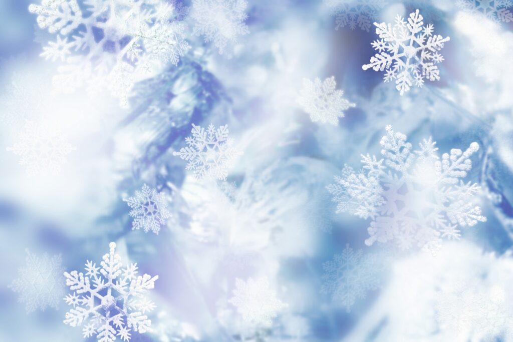 感謝と気づきに育まれた一年を振り返りながら