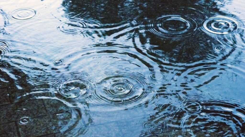 梅雨の風景に包まれながら心の声に耳を傾ける